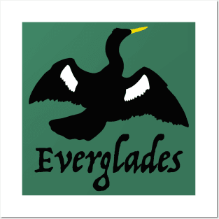 Everglades Anhinga Posters and Art